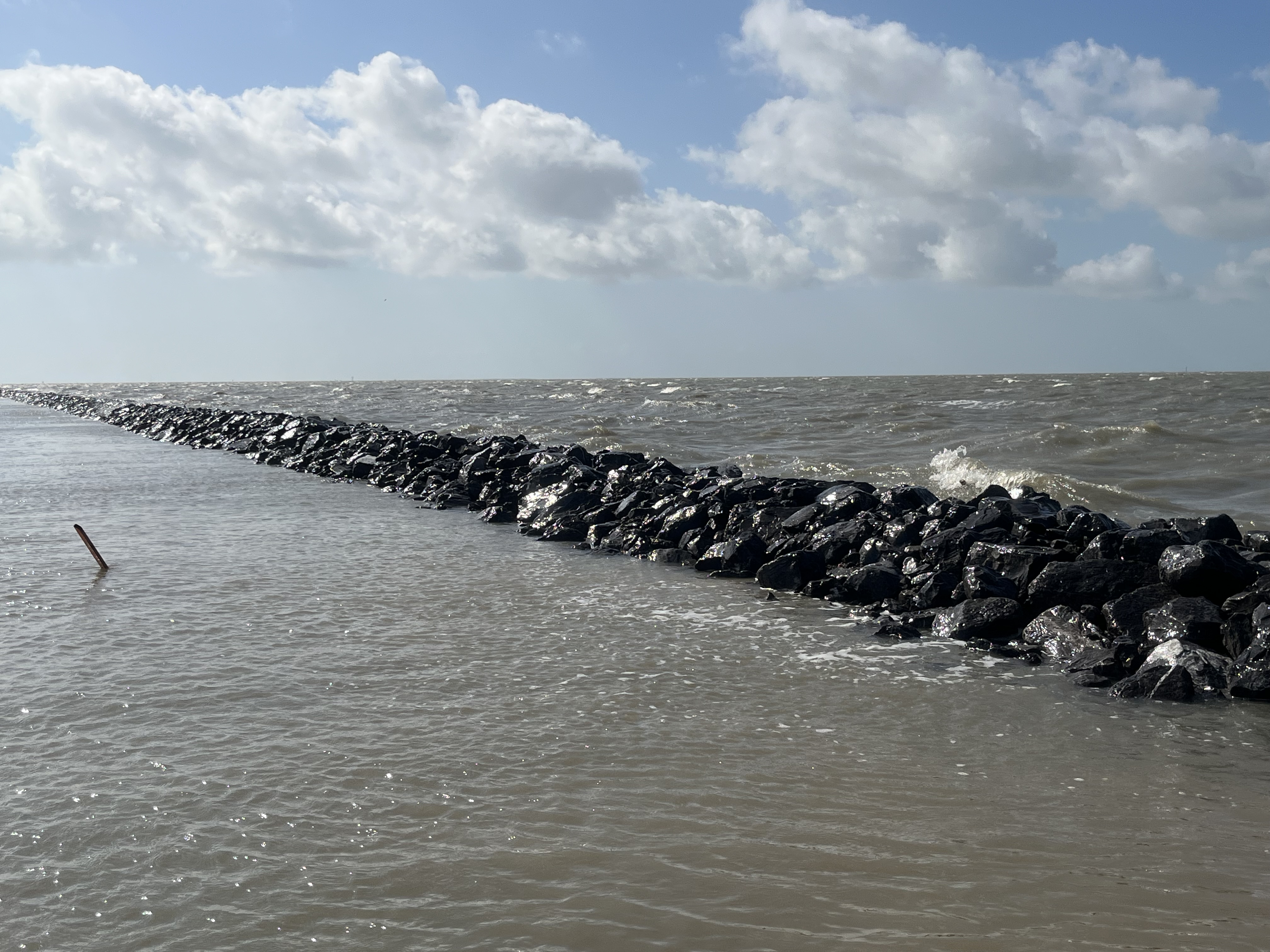 Migratory Bird Conservation Commission Approves $2.28 Million Grant to Protect and Restore Texas Gulf Coast Wetlands